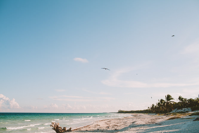 Luis Etty Mexico Riviera Maya Tulum Wedding Photographer